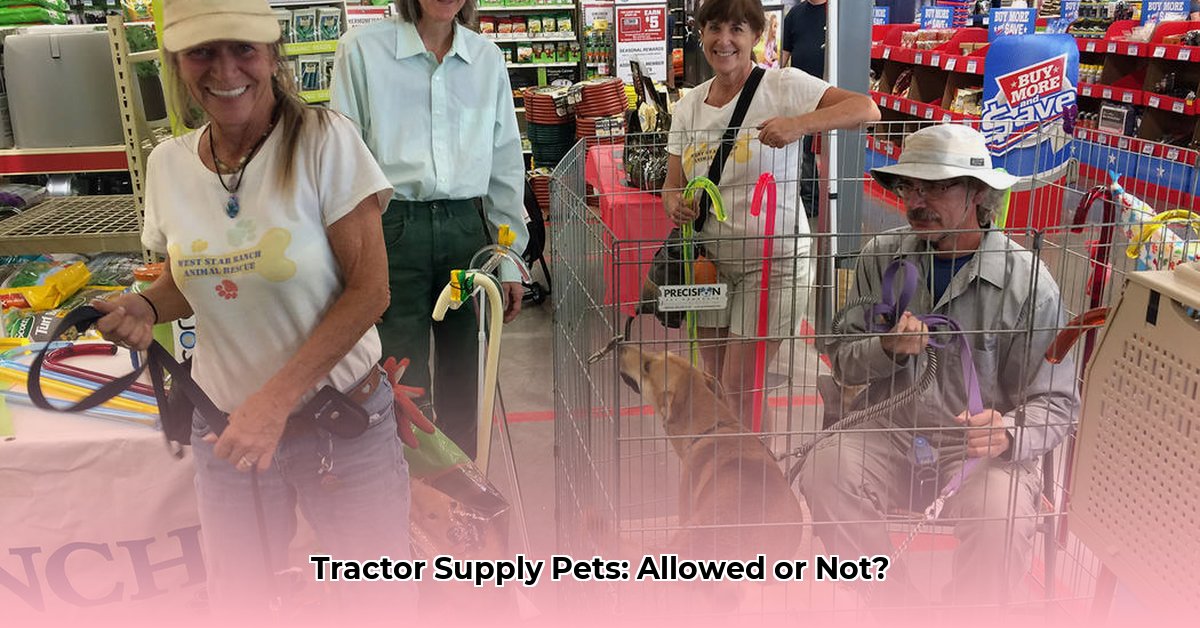 can-you-take-pets-in-tractor-supply